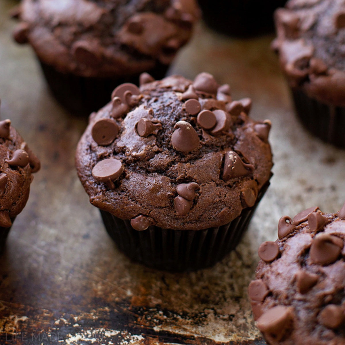Double Chocolate Muffin