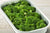 Steamed Broccoli w/ Lemon tray