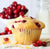Cranberry Muffin 12pcs/6oz/$2.50